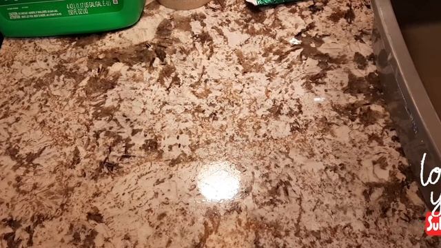 ?СУХОПУТНАЯ ЧЕРЕПАХА ПО ПОЧТЕ ? ТРАНСПОРТИРОВКА ЧЕРЕПАХ ✈? смотреть онлайн