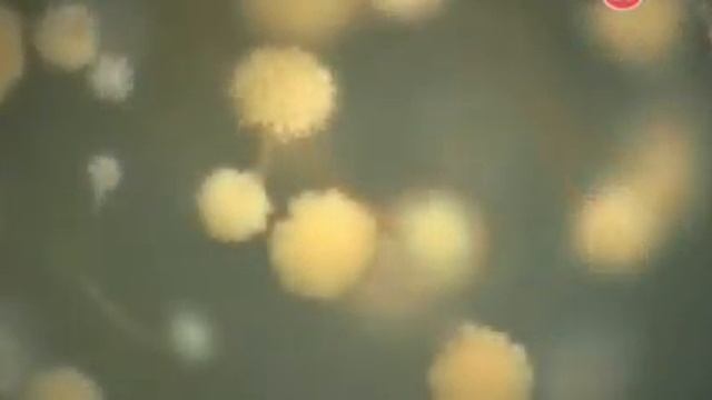 Наука разложения 1 смотреть онлайн