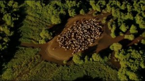 Дом (Russian version).mp4