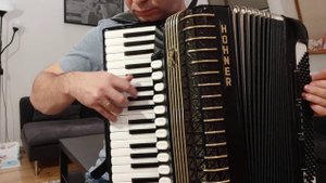 Indifference - accordion, akordeon - hohner atlantic IV n de lux