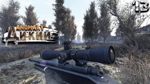 S.T.A.L.K.E.R. Anomaly Reality 1.5 (13) ► Праздник