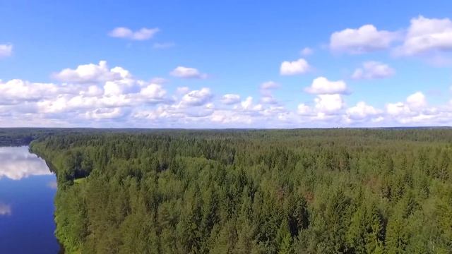 Карелия Пудож 1080p смотреть онлайн