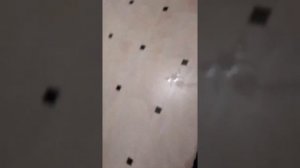 Дед мороз на верёвке