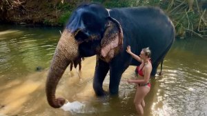 Шри-Ланка 2023 | Часть 10. Слоны в Канди (часть 1)