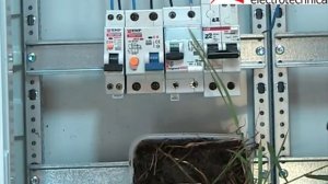 дифференциальный автомат legrand ABB EKF