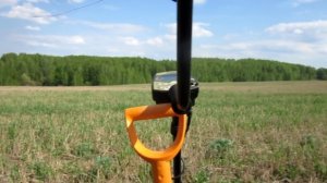 НАХОДКИ ПРУТ САДЫ ЦВЕТУТ! ПОИСК МОНЕТ С АКА СОРЕКС ПРО!