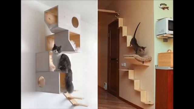 Кошки в доме Как сделать их жизнь комфортной