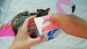 Прокладки, которые я больше никогда не куплю??//Кристина??️//