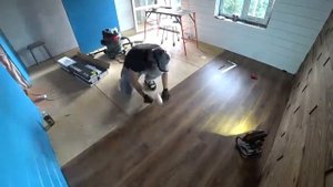 Напольное покрытие в спальне. Кварцевый ламинат Refloor Fargo