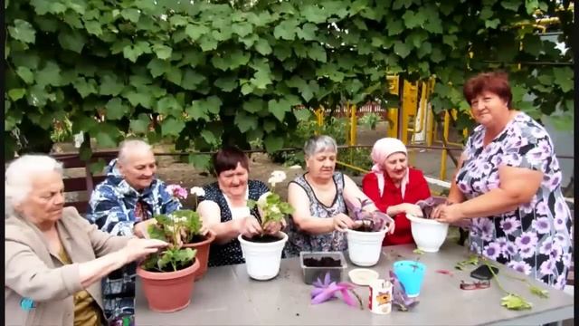 Как сохранить ясный ум и память после 60 лет. Советы академика В. Бехтерева