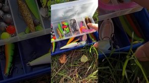 Приманки Azor Fishing из Галамарта