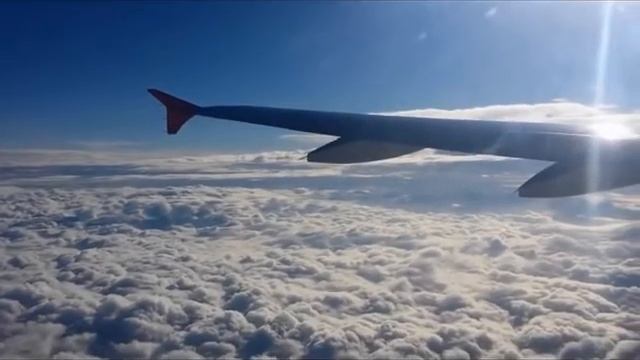 Harry Styles - Watermelon Sugar (Remix by LimaSoundProject) смотреть онлайн