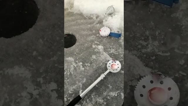 Обогрев палатки сухим горючим. Проверяю сколько горит, есть ли запах. смотреть онлайн