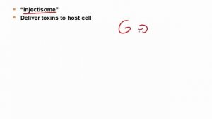 USMLE RX - 7.Микробиология - 2.Основы бактериологии - 13.Система секреции III Типа