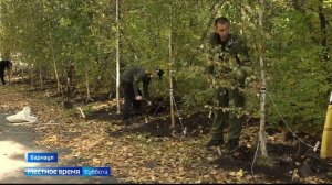 В барнаульском парке «Юбилейный» высаживают деревья и кустарники