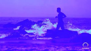 Shohreh - 'Dooset Daram' OFFICIAL VIDEO