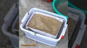 5 вазона из цемента. Поделки для сада и дачи