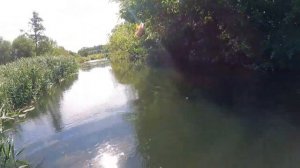 Трофей малой реки. Разлавливаю кренки TsuYoki. Тестирую Norstream Adept 2