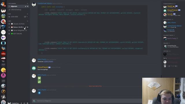 Q&A Programmierung | LIVE [+Webcam] | Discord Bot Programmierung [Java/JDA] смотреть онлайн