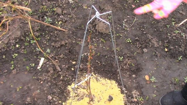 Укрытие для роз " Зимний домик" 75 см. Распаковка, обзор, установка. 218