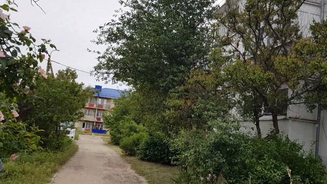 Расцвел Большой куст ШИПОВНИКА ??? КРАСИВО, но так быстро отцветает ? 21.05.23 год