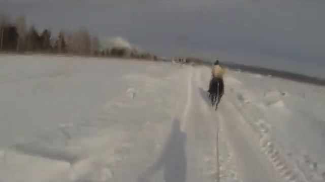 На сноуборде за лошадью 5 февраля 2013 г смотреть онлайн