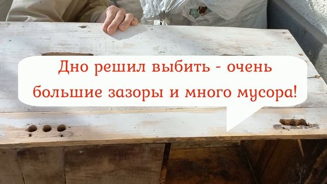 Б/У улей ОПАСНО или НЕТ? Выбор, обработка и ремонт смотреть онлайн