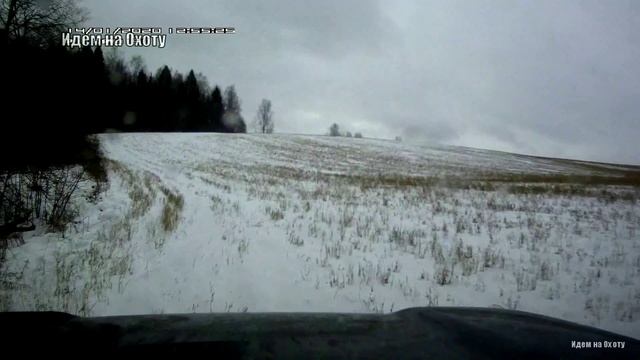 Охота на зайца 20.Выпал первый снег. ОЛЕНИ НА ДОРОГЕ.