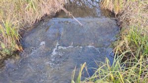 Relaxing Peaceful #River Song & #Water Sounds 4k Autumn #Nature Звуки Реки и Журчание Бегущей Воды