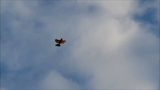 FT Old Speedster com Ailerons HD смотреть онлайн