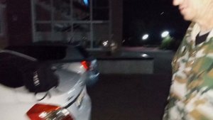 звукооператоры недоучки май