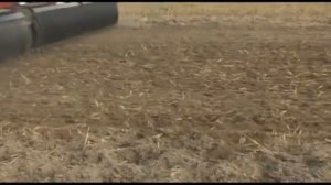 Почвенная фреза GASPARDO AQUILA в процессе работы