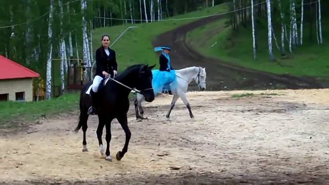 Всадники на Конной феерии в Абзаково смотреть онлайн