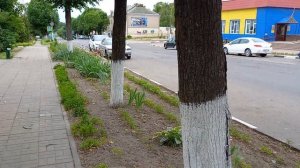 Кричев. Беларусь. Центр 13.06.23.