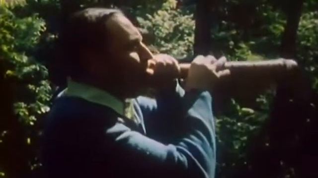 1982 г. В мире животных Дальний восток Приморский край. В мире животных смотреть онлайн