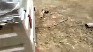 Прицеп Титан-Атлант. Видеоотзыв из Волгодонска