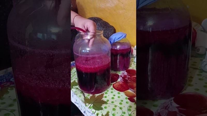 #деревня #деревнямоя #живем #сад #вино #красная #смородина