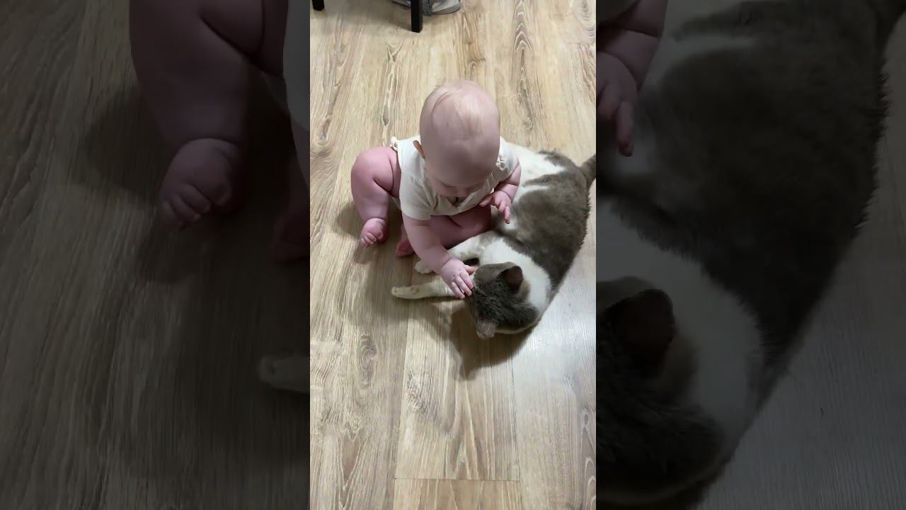 Знакомство с котом  #мамавдекрете #принцессаксения #кот #папинадочка #счастье