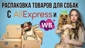 Распаковка товаров для собак!
