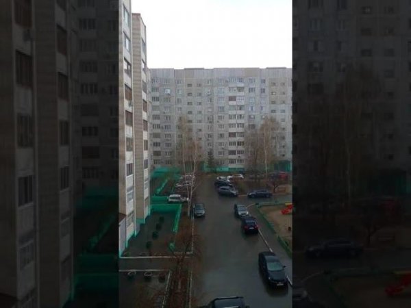 Звуки дождя. А у нас первый сильный весенний ливень!