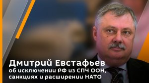 Дмитрий Евстафьев об исключении РФ из СПЧ ООН, санкциях и расширении НАТО