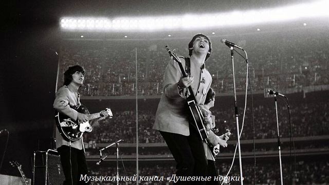 Песня #michelle