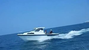 YAMAHA F23