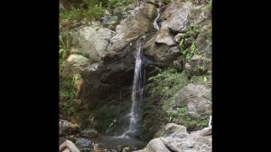 Тропа здоровья Роза Хутор (большой круг) полный маршрут