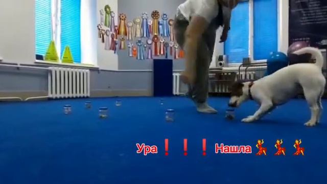 Наталья и Джесси: nosework смотреть онлайн