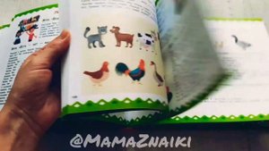 Большой альбом по развитию речи Новиковская. Альбом по развитию речи. Пособия по развитию речи.