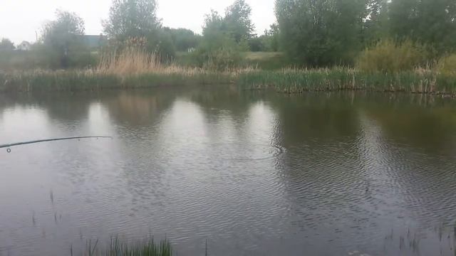 как поймать карася на хлеб + пирог смотреть онлайн