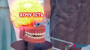 "Сбрось лишнее - выиграй миллион". Группа "Экспрес...а №1". Здоровье. Фрагмент выпуска от 26.02.2017