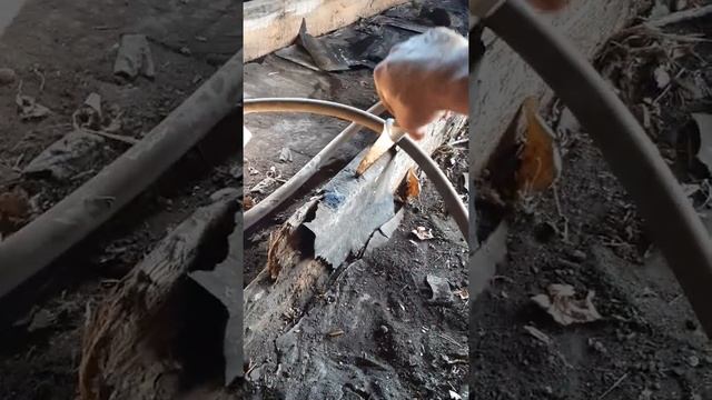 #гниёт потолок #балки #утепление потолка #пароизоляция потолка смотреть онлайн