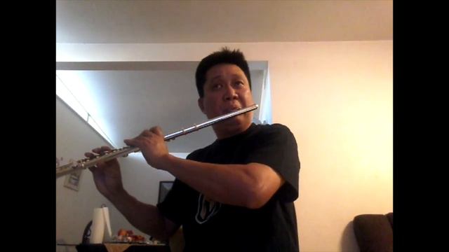 G. Donizetti Sonata for Flute and Piano in C minor смотреть онлайн